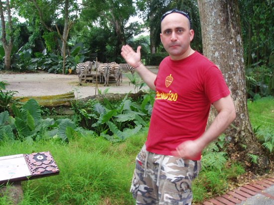 paso de las cebras en Singapur.JPG